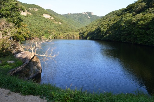 황돈 이미지