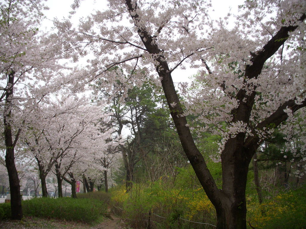 찬우물 이미지
