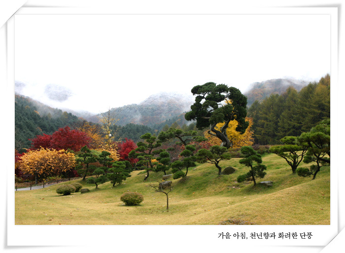 컴누리 이미지
