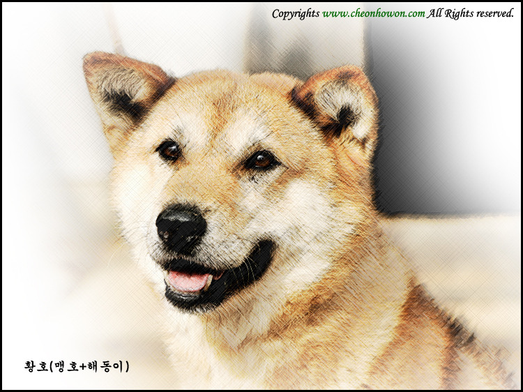 맹호 이미지