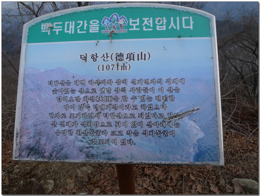 노루메기 이미지