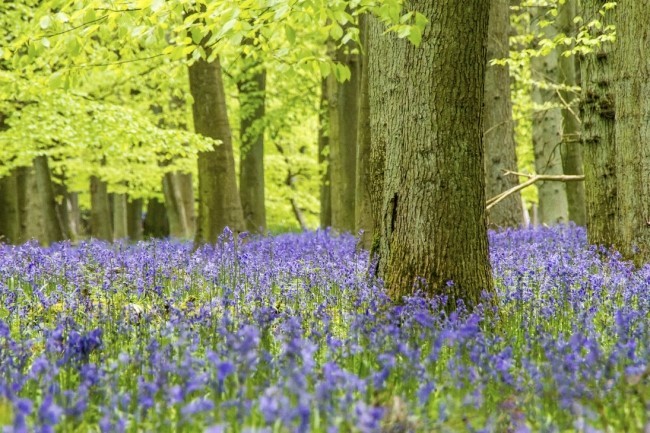 마음이 정화되는 게시물 | 인스티즈