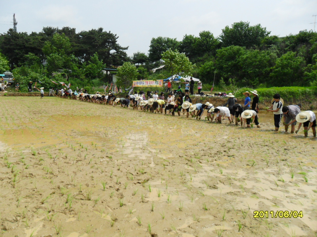 봉서중학교 이미지