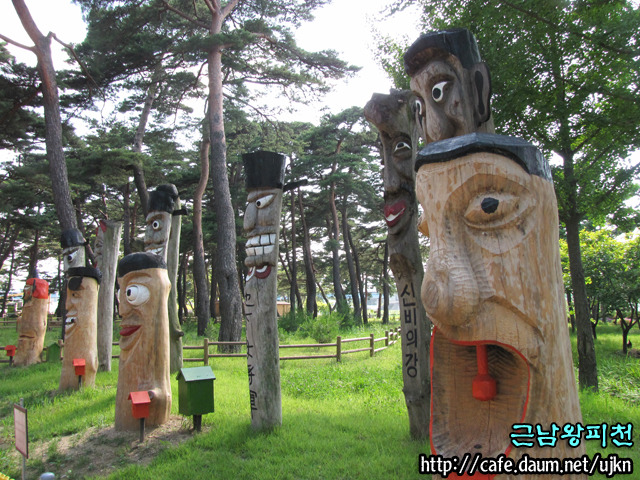소나무주 이미지