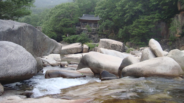 동원식당 이미지
