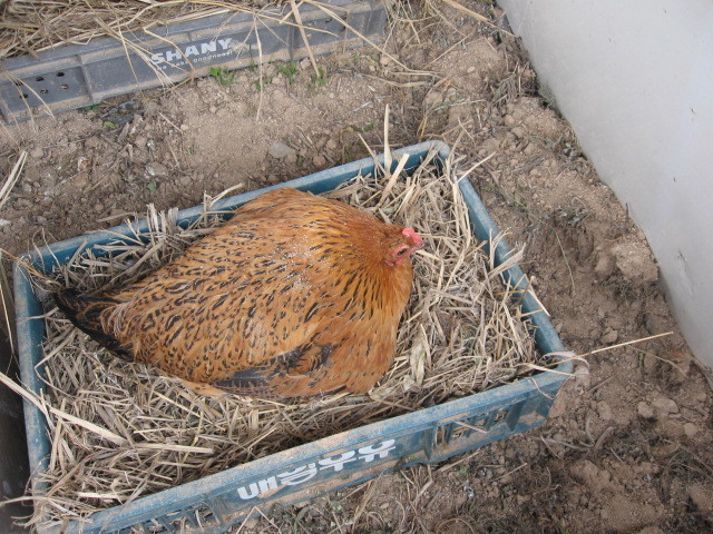 세심 이미지