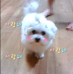 4~8세 아이들이 생각하는 사랑 | 인스티즈