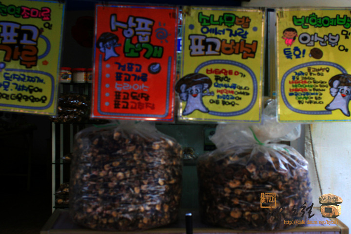 cafe 정남진 이미지