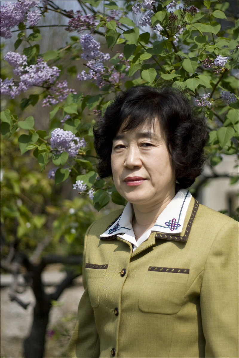 선몰 이미지