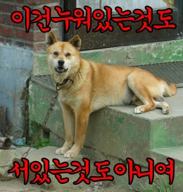 나도 이미지