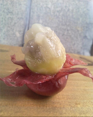 노호 이미지