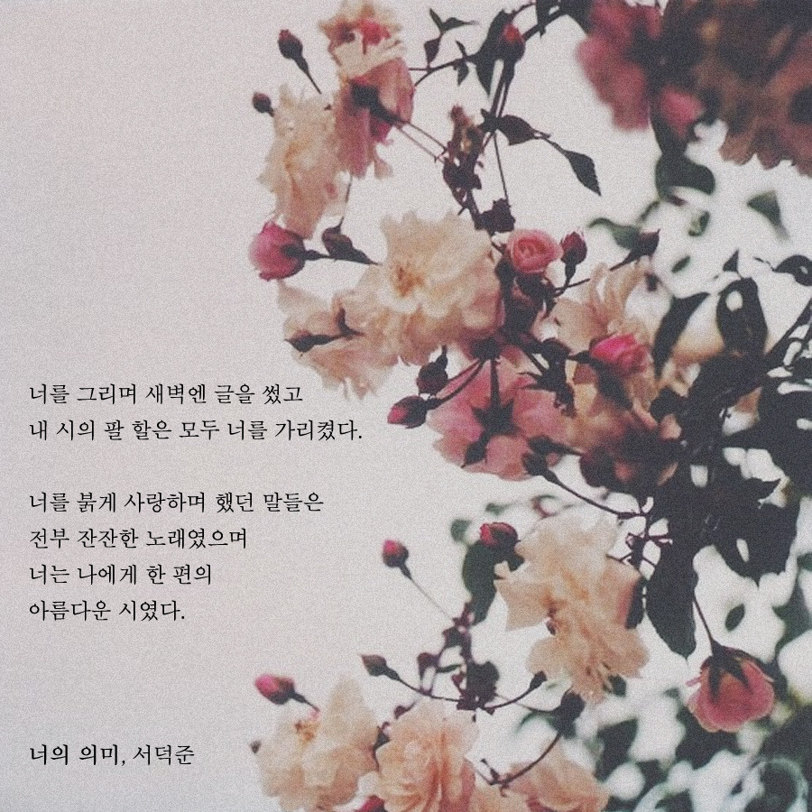프로필사진 하기 좋은 예쁜 시 이미지 모음.jpg | 인스티즈