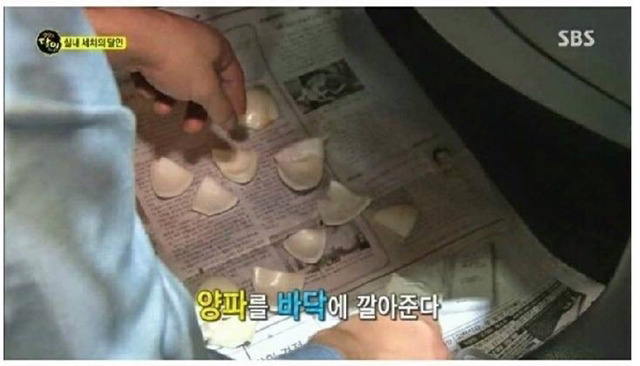 ??? : 아니 실내세차가 20만원이래. 개비싼거 아니야?? | 인스티즈