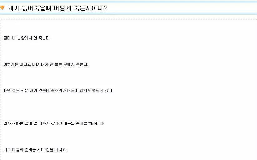 개가 늙어죽을때 어떻게 죽는지아나? | 인스티즈