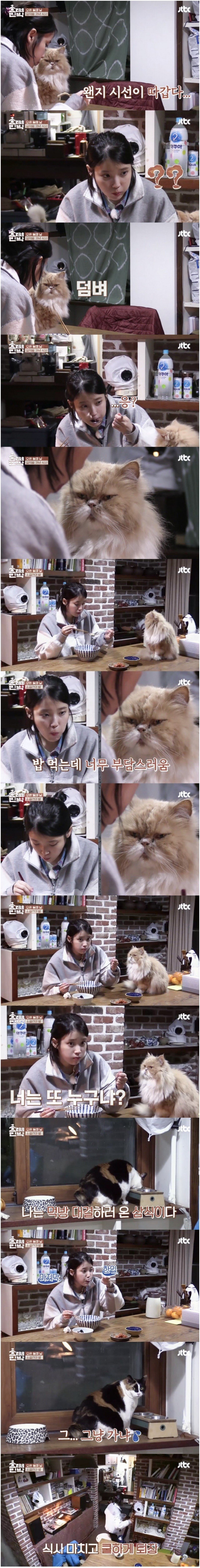 밥먹는 아이유를 쳐다보는 시선 | 인스티즈