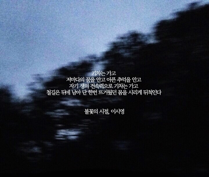  네 안에서 부는 바람에 너는 너무 오래 흔들린다 | 인스티즈