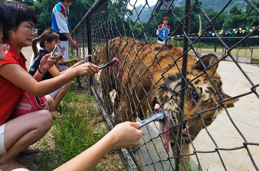 중국,인도네시아,북한의 동물원 (혐오주의) | 인스티즈