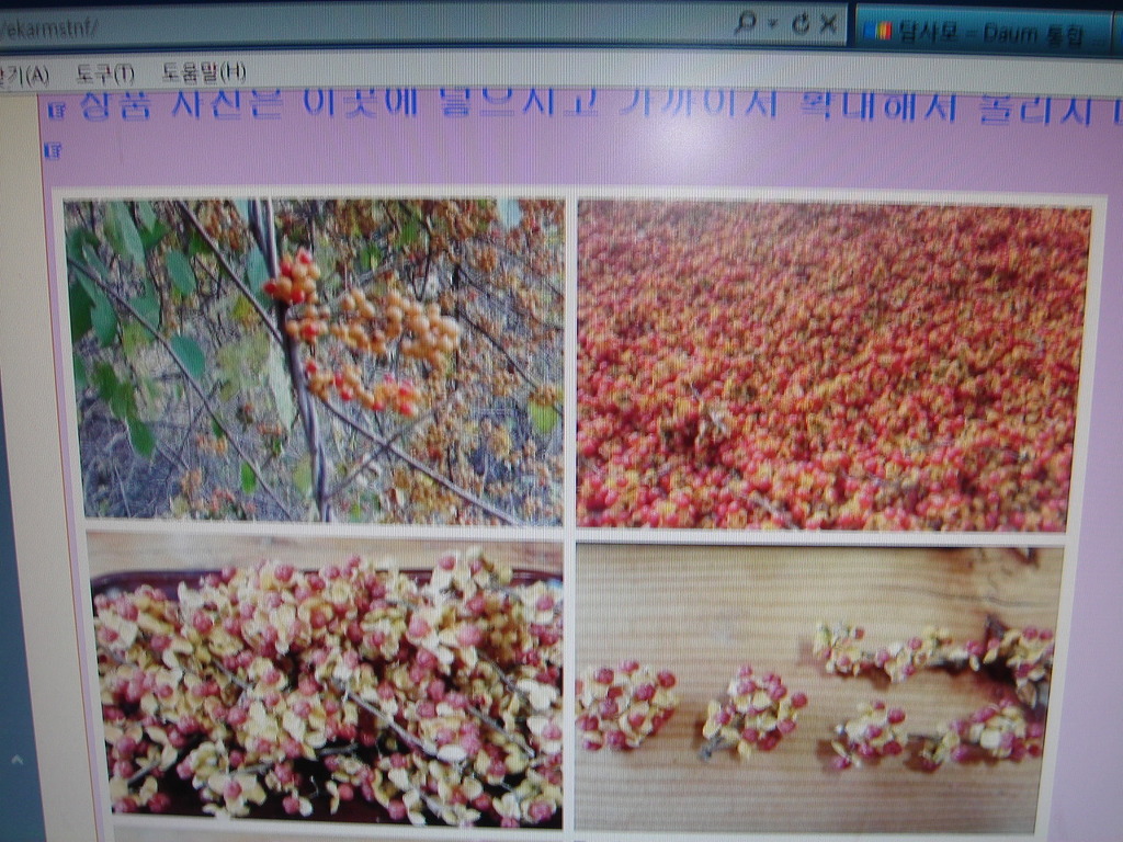 대한건재 이미지