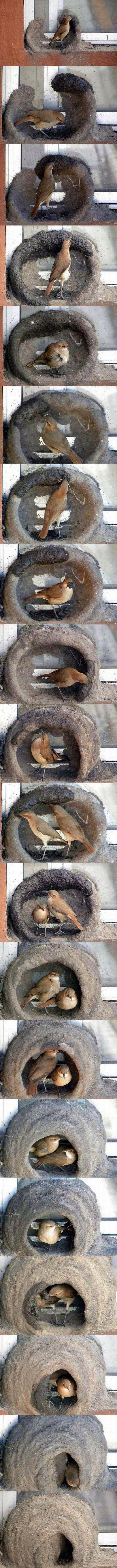 내집 마련하기 | 인스티즈