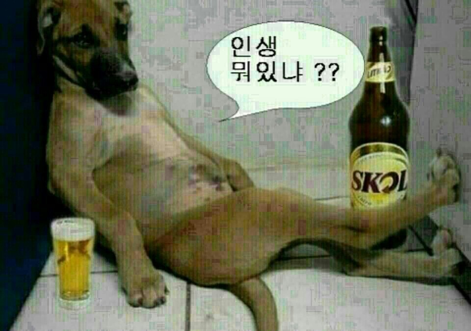 하믄 이미지