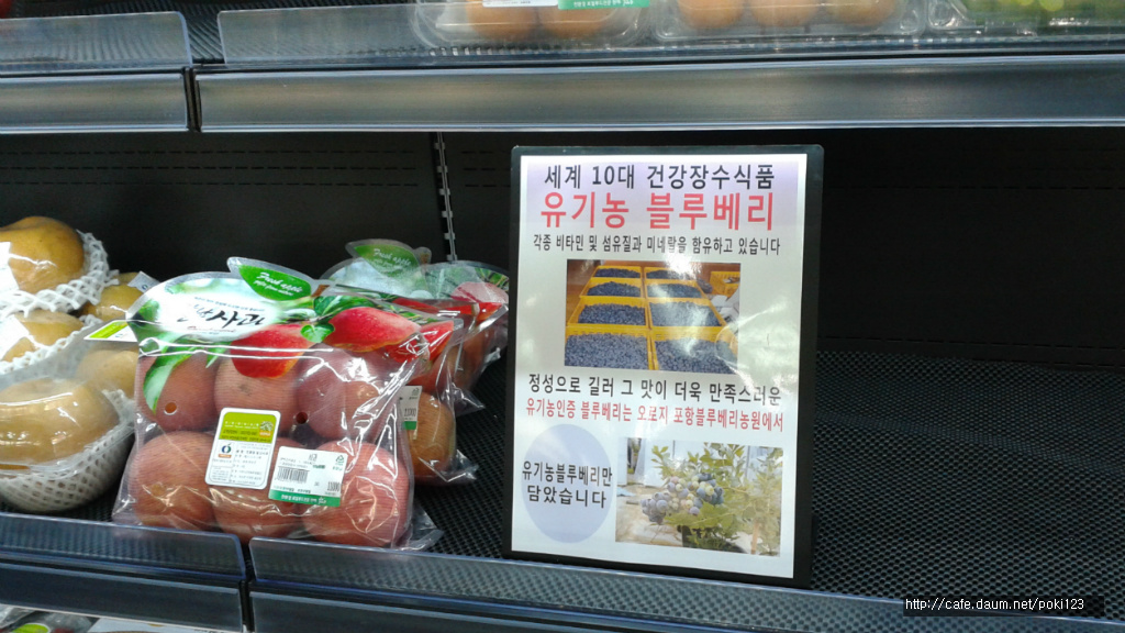 포항블루베리농원 이미지