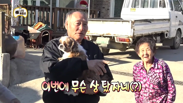[무한도전] 방송하랴 댕댕이 부둥부둥하랴 바쁘신 할아버지ㅋㅋ.jpg | 인스티즈