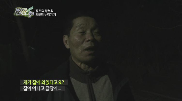 [세상에이런일이] 도로위에 망부석이 되서 주인을 기다리는 강아지.jpg | 인스티즈