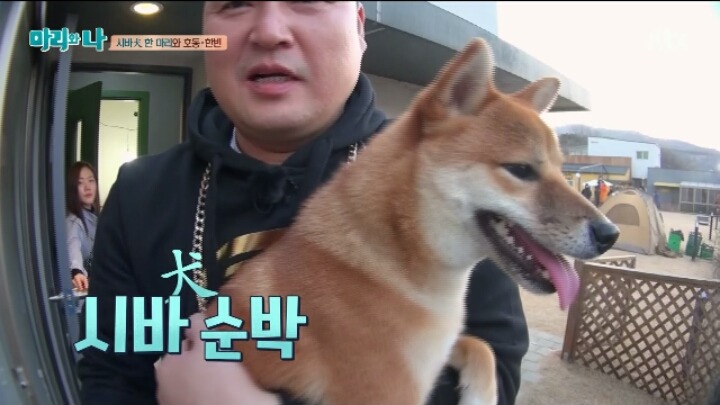 [마리와나] 약 빨고 쓰는 거 같은 마리와 나 자막ㅋㅋㅋㅋㅋㅋㅋㅋ | 인스티즈