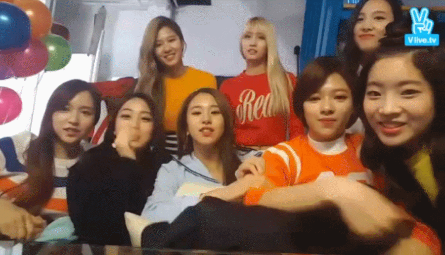 [twice] 고통받는 둡둡이 다현.gif | 인스티즈