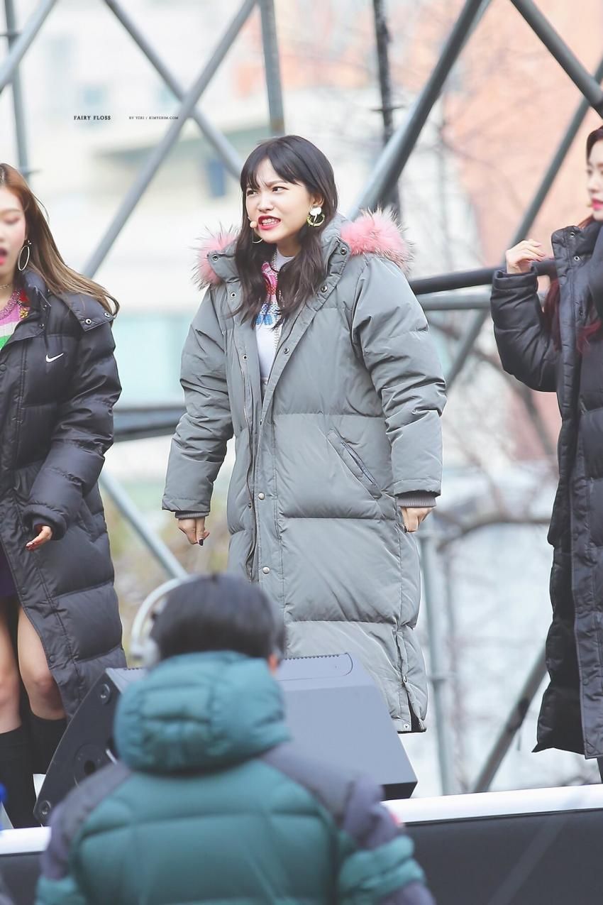너무 추워서 사나워진 예부기.jpgif | 인스티즈