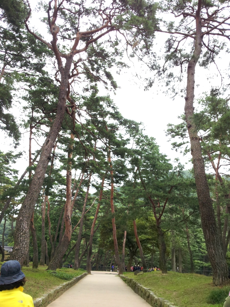 소슬바람 이미지
