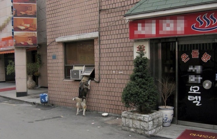 하니모텔 이미지