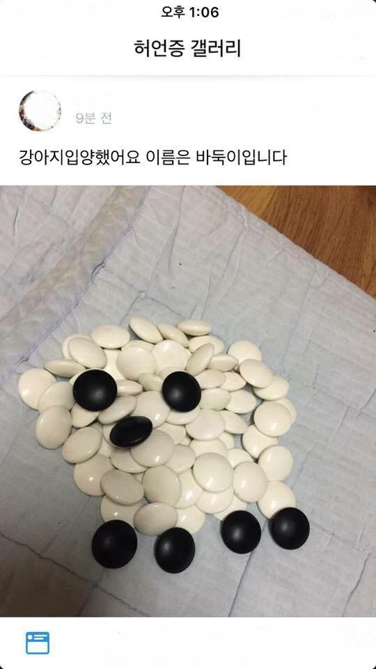 강아지를 입양했어요 | 인스티즈