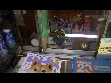 자다가 일어난 가게주인.gif | 인스티즈