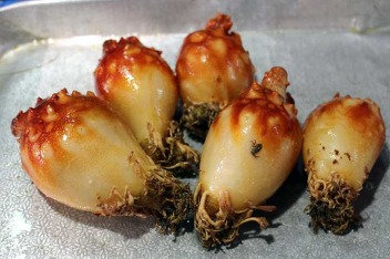 05수산 이미지