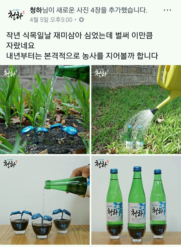 드립에 힘을 쏟는 청하 페북 홍보 페이지 | 인스티즈