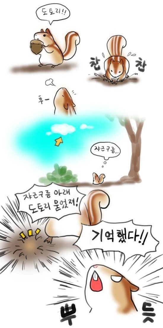 다람쥐의 기억법 | 인스티즈
