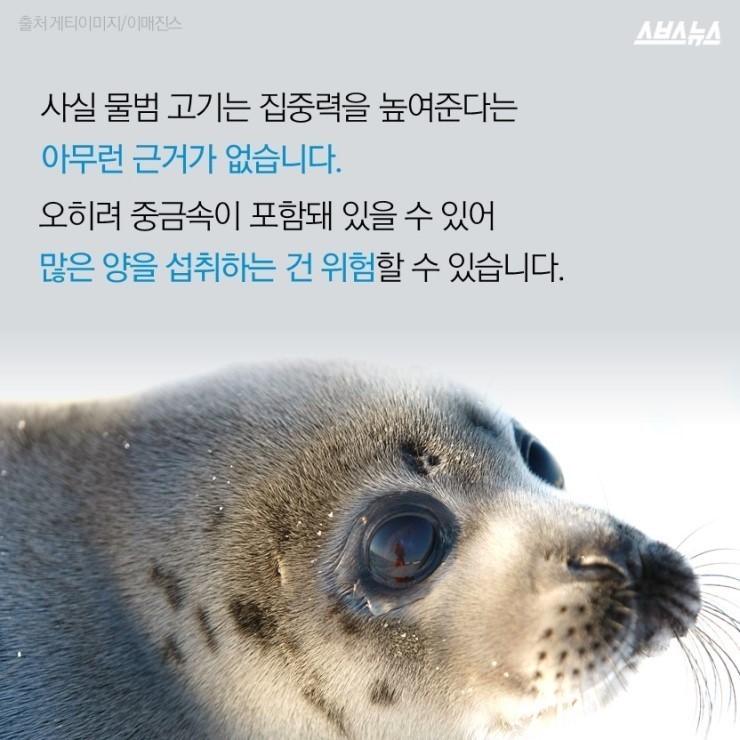  코리아 미워요 | 인스티즈