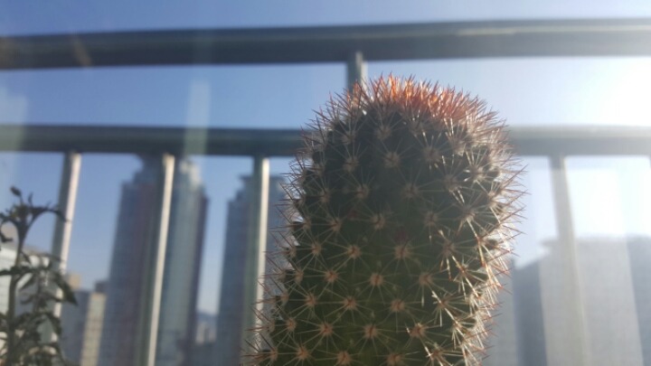 하얀하늘 이미지