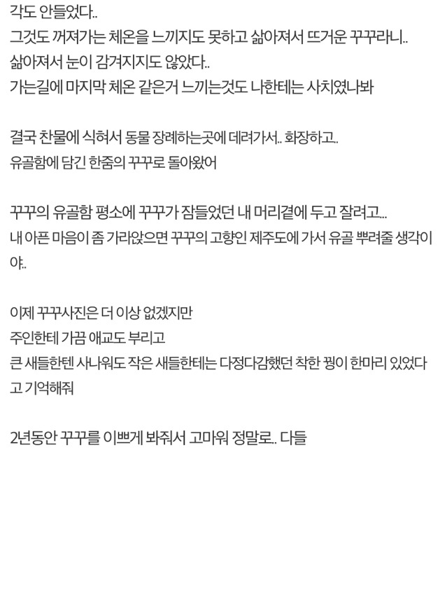 수렵시대 대한민국 | 인스티즈