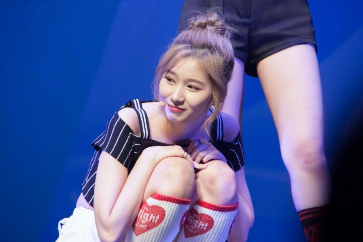 [트와이스] 스페셜 팬미팅 모음 | 인스티즈