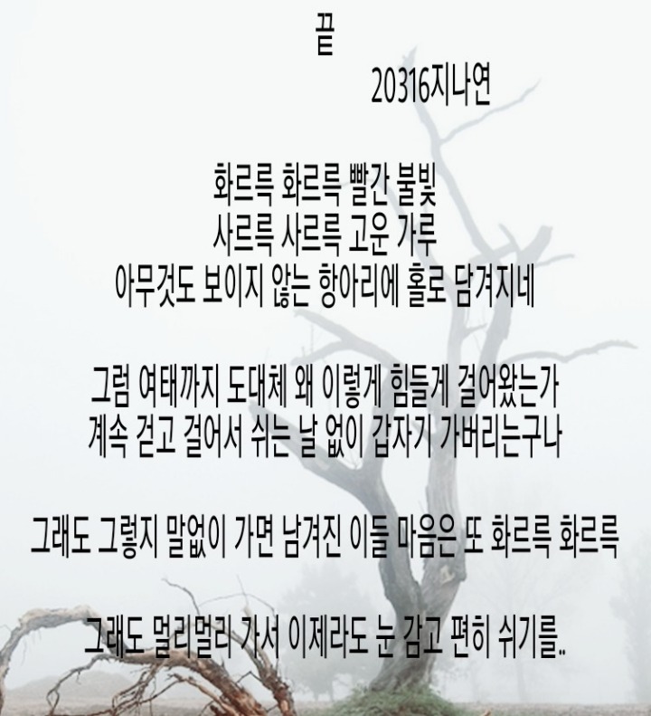 연떡 이미지