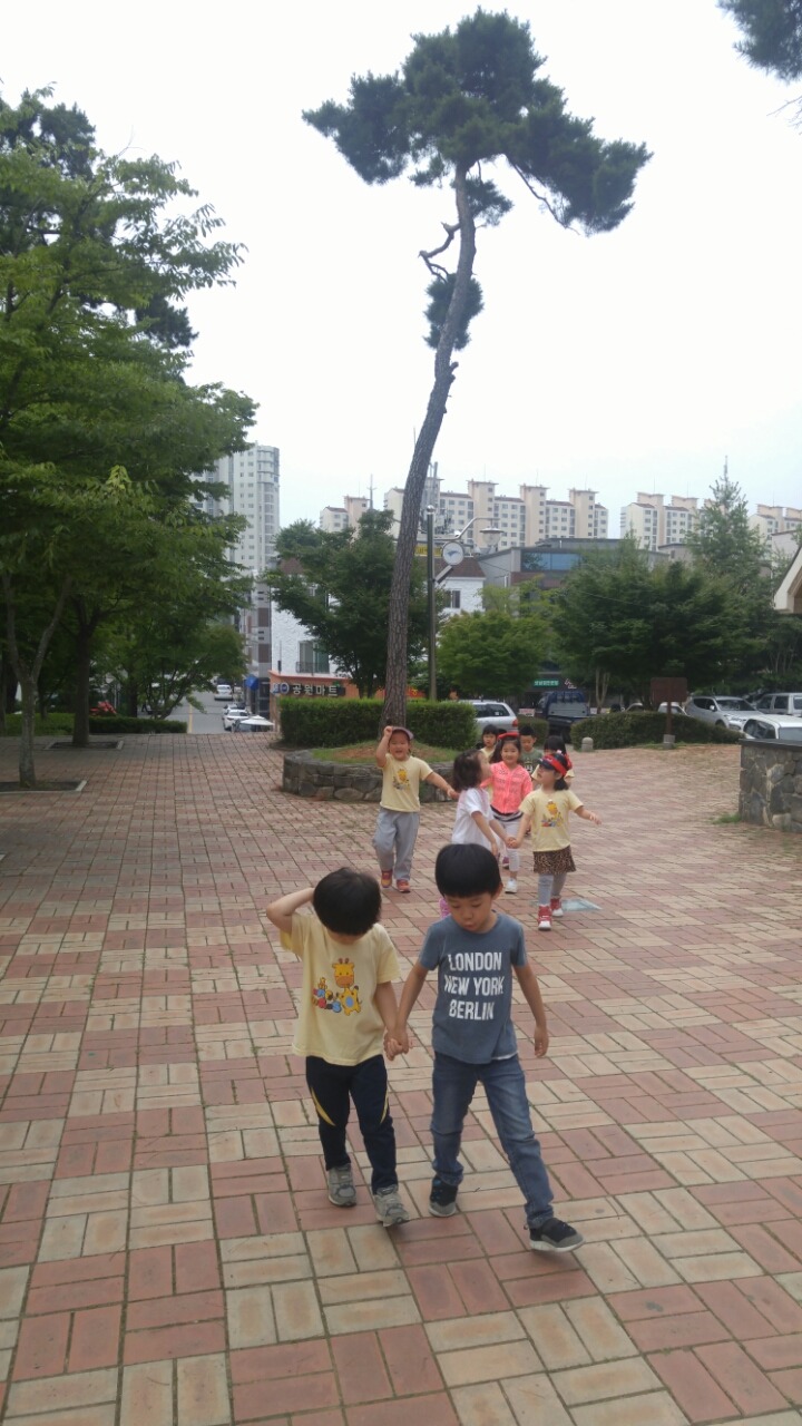 숲에서자라는아이들 이미지