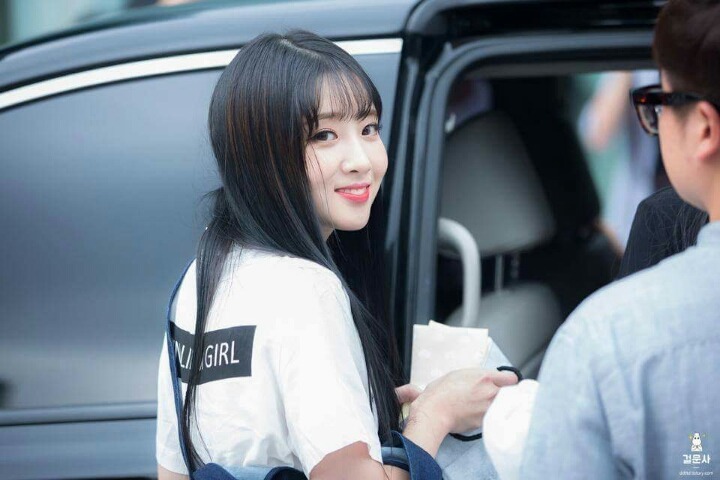 [러블리즈] 고양이가 다시 건깅해져서 유지애 | 인스티즈