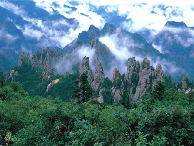 설악산상회 이미지