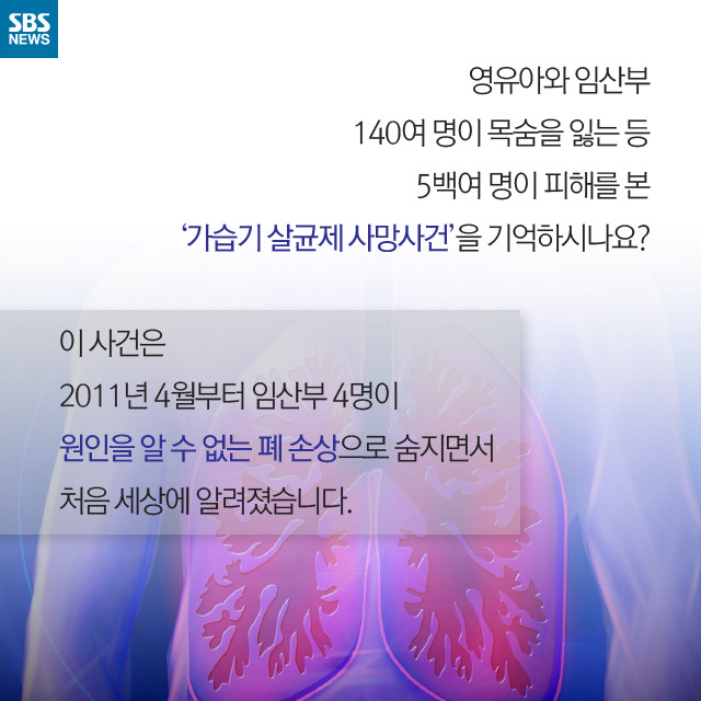  있어도 없는 가해자 | 인스티즈