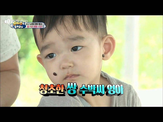 슈돌에서 귀여움투톱을 맡고있는 다을이와 대박이.jpg | 인스티즈