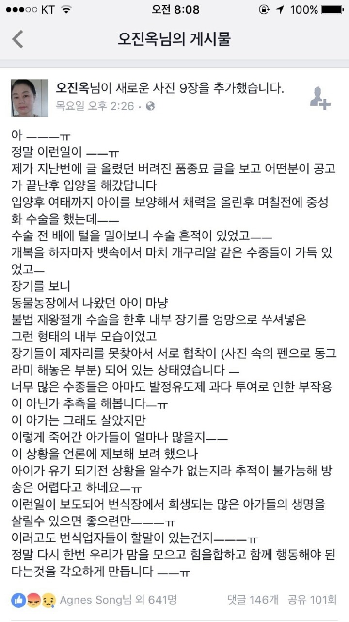 초초초시룸 장기사진 있음) 발정유도제에 불법 제왕절개된 고양이의 장기 | 인스티즈