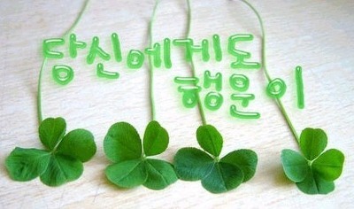 해온 이미지