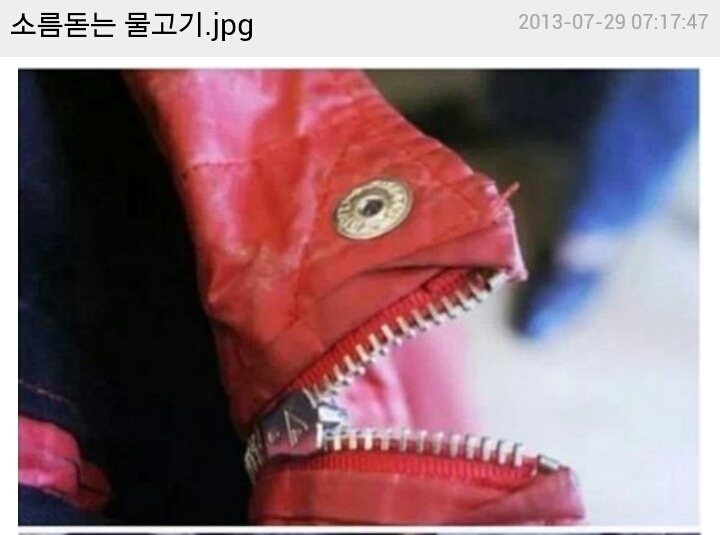 다들 이 물고기에 물려보셨죠?? | 인스티즈